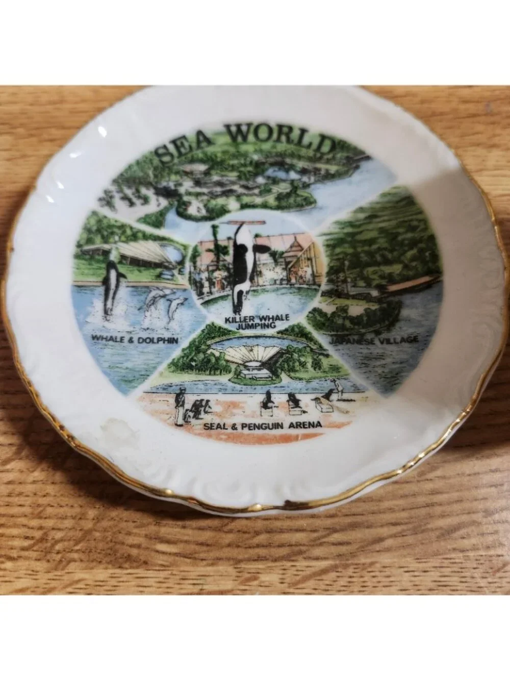 VTG Sea World Souvenir Demitasse Espresso Cup & Saucer Set Porcelain